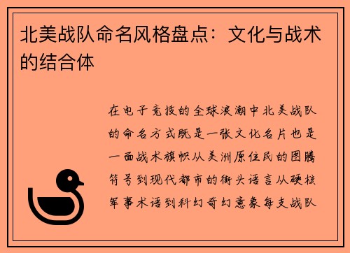 北美战队命名风格盘点：文化与战术的结合体